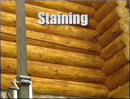  Silas, Alabama Log Home Staining